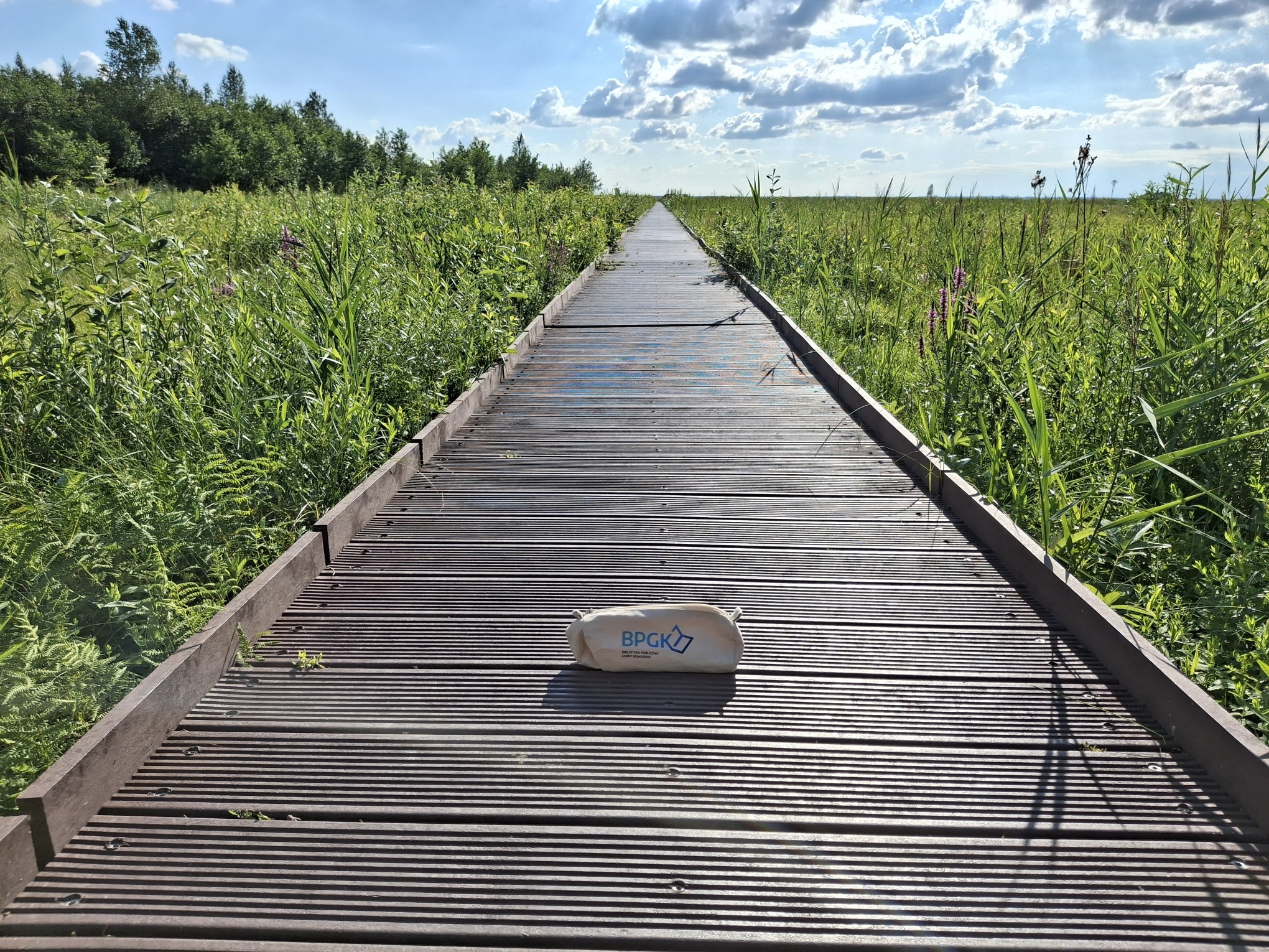 II_miejsce_w_kategorii_dorosłej_-_Anna_Siuda